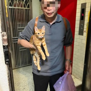 球速体育官方网站-博主发现猫逃家立刻去追，抓到猫后才发现自己没穿裤子…咪：这不是变态吗