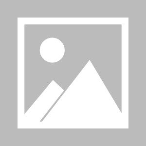 球速体育官方网站-潘文江接任越南二号位